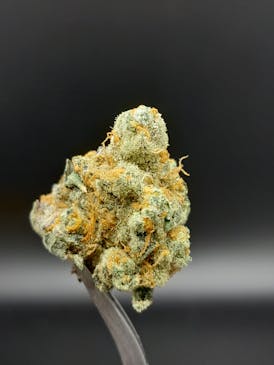 Lemon Orange (Big Bud) - 25.48% THC 2.81% Terps