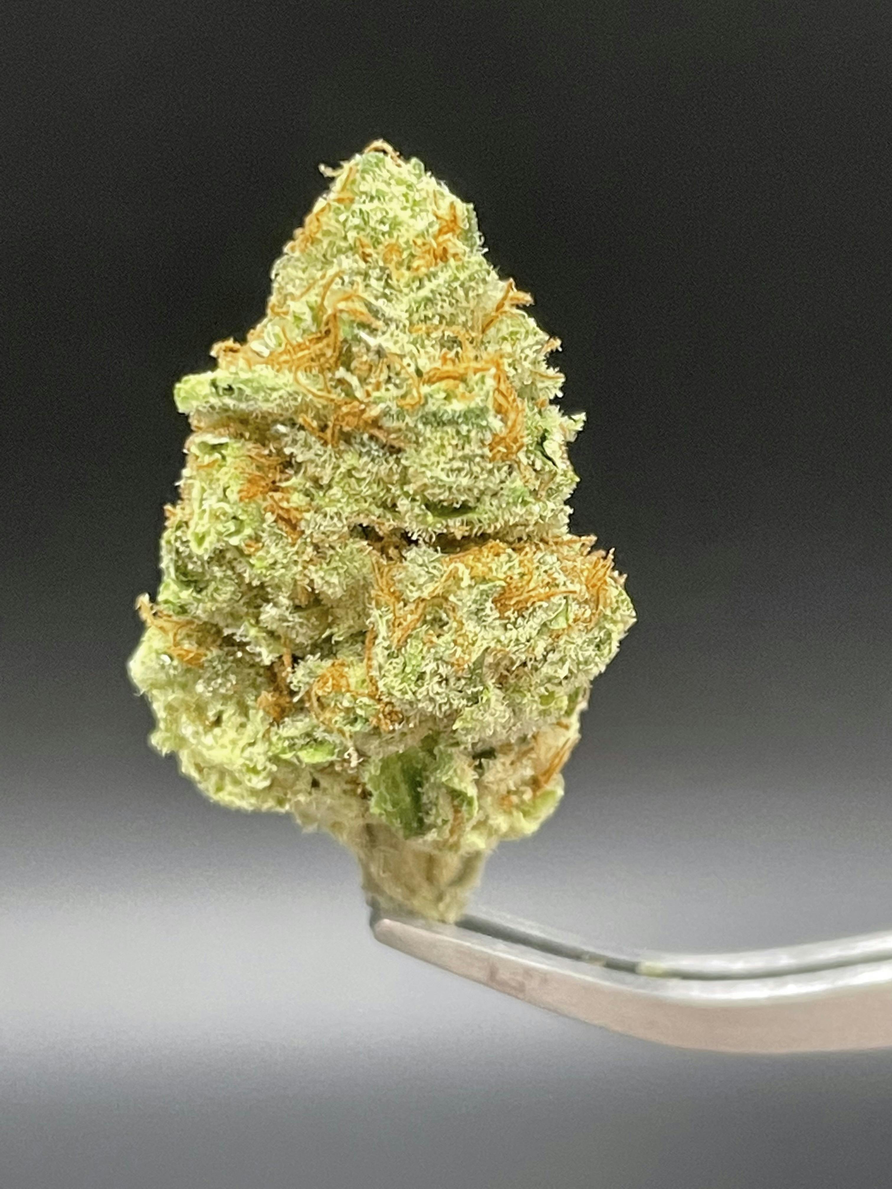 Sour Diesel - 27.03% THC