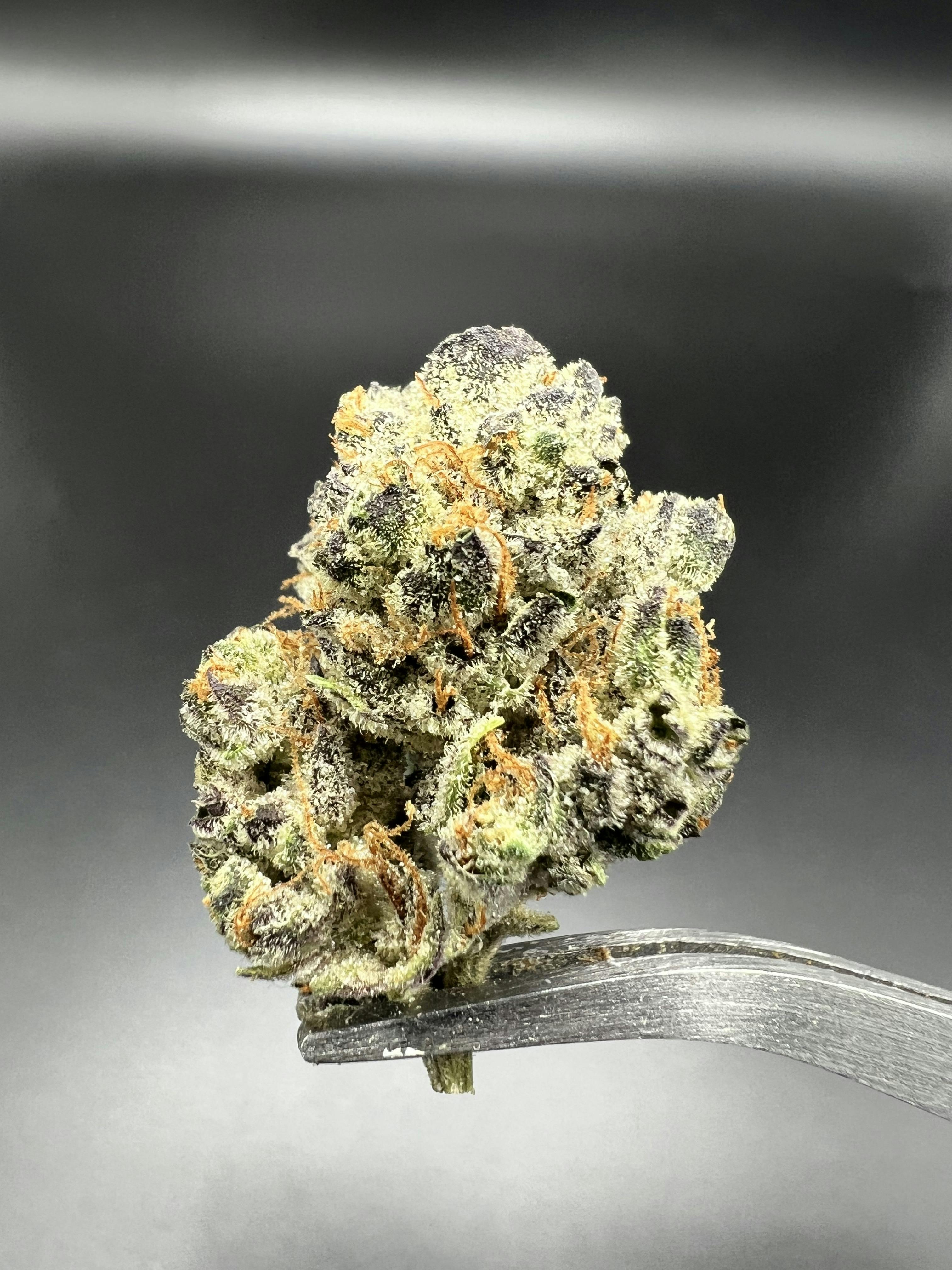 Detroit Muscle - 31.80% THC