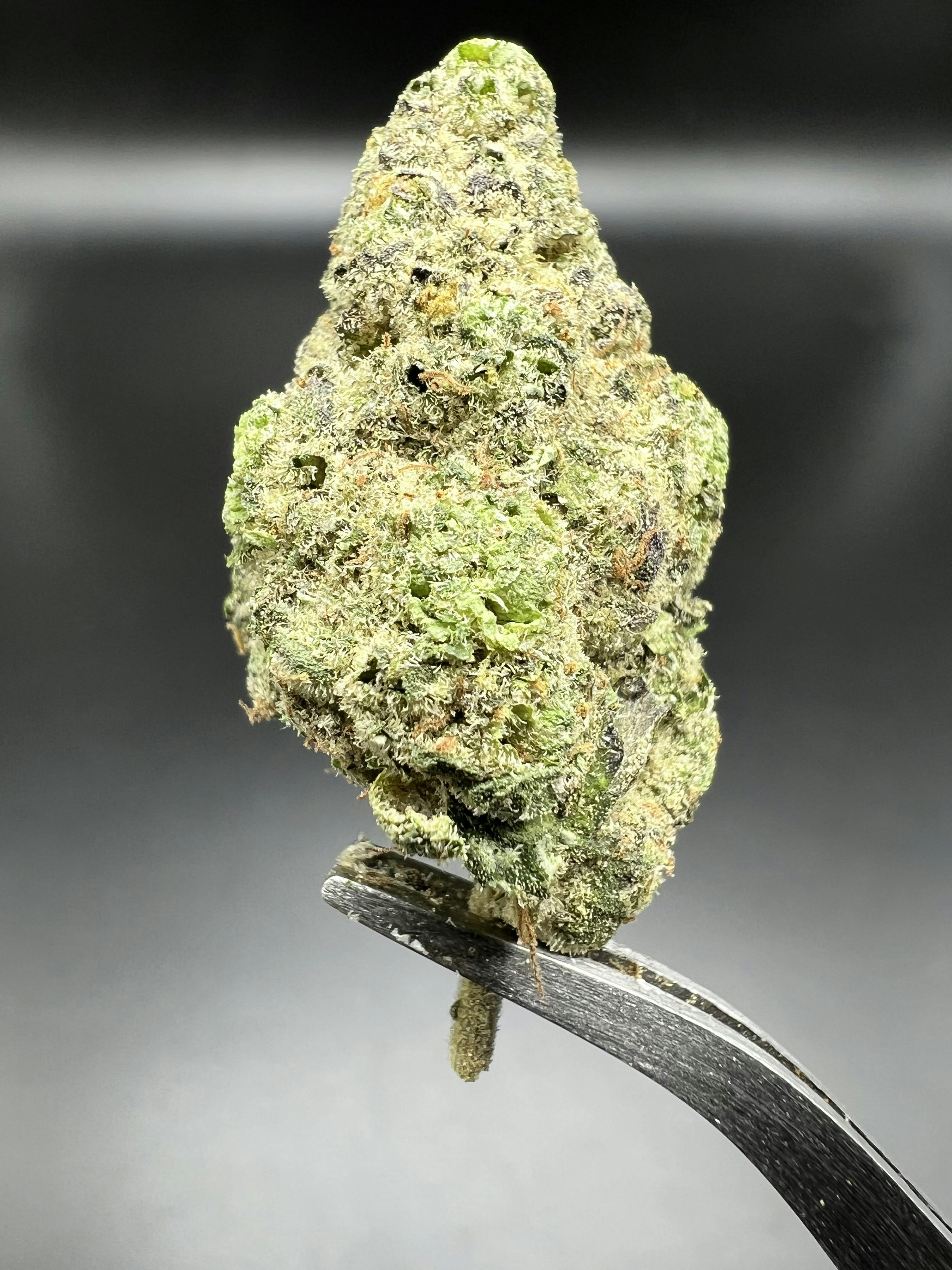 First Class Funk - 27.51% THC 2.75% Terps