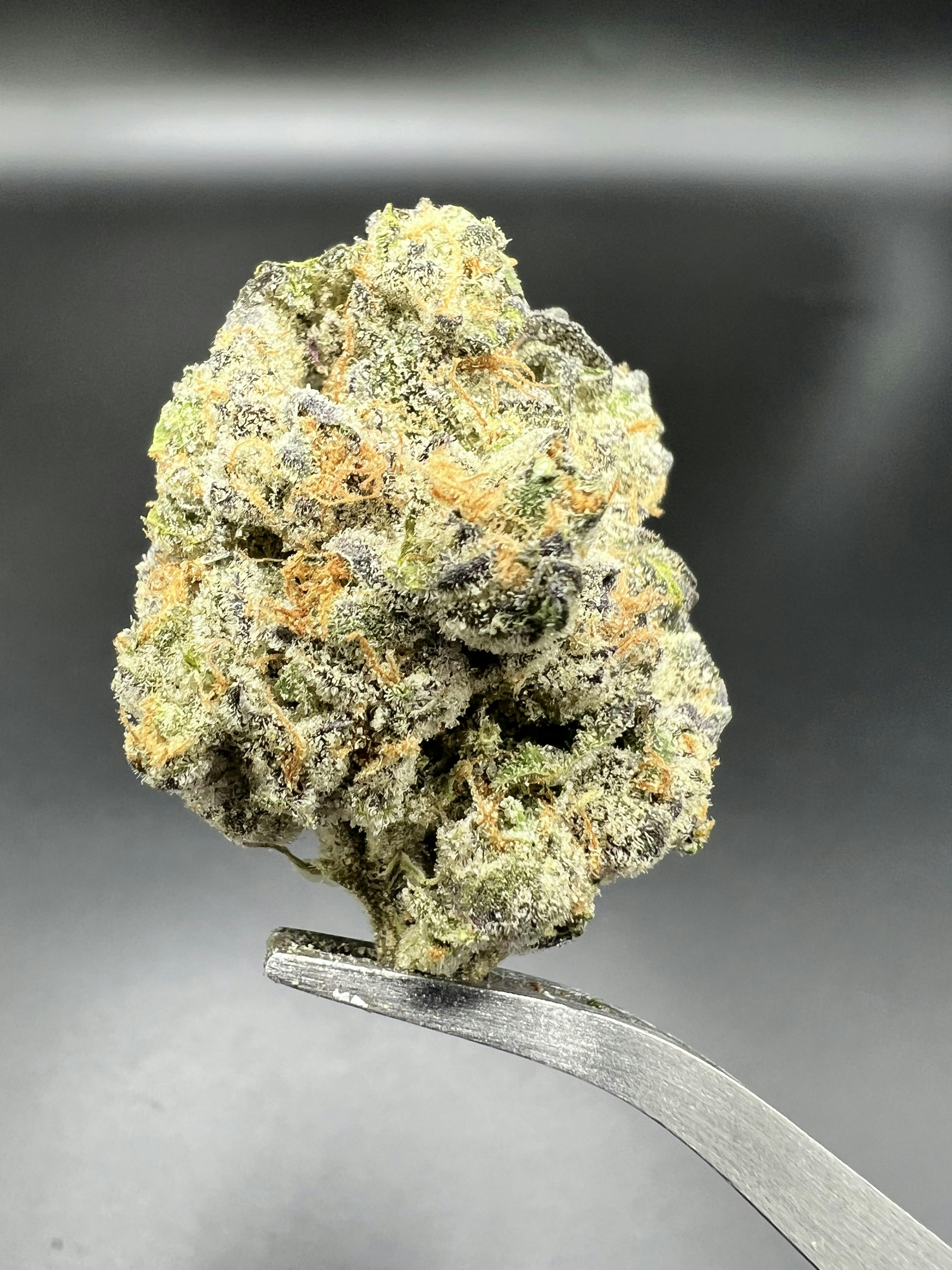 Kush Mintz - 29.07% THC & 2.36% Terps