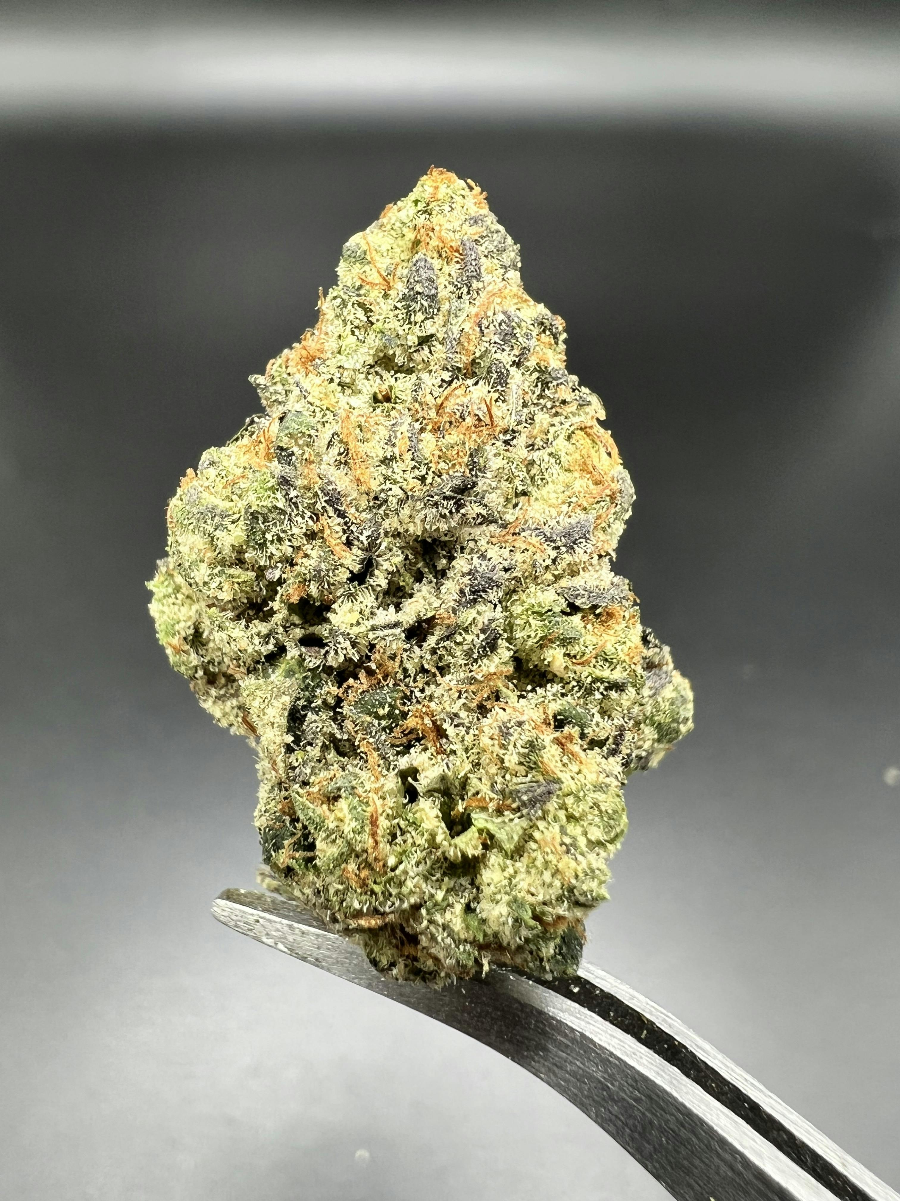 Indian Gold (Big Bud) - 20.37% THC
