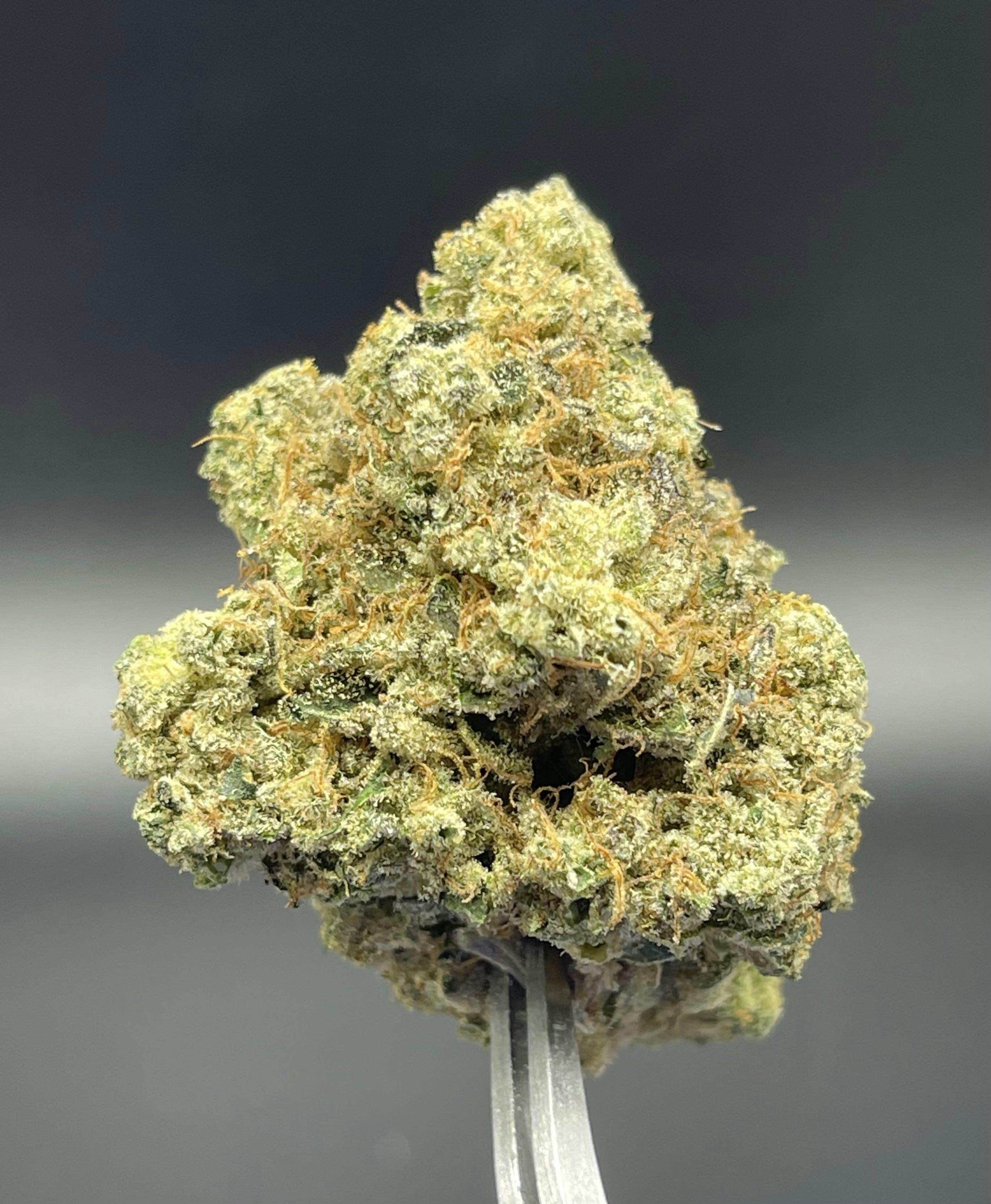 Chemdawg - 30.56% THC 2.50% Terps