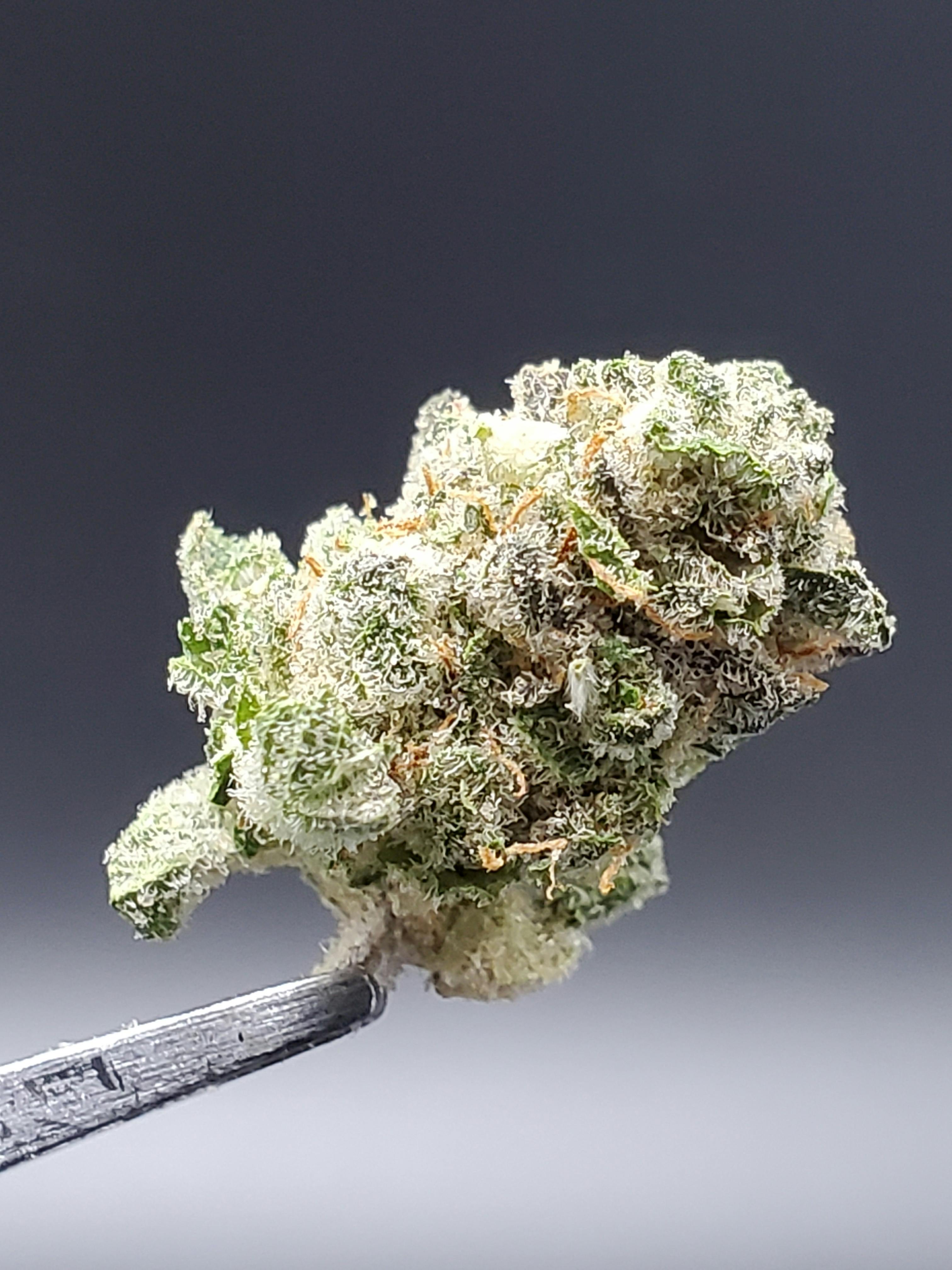Dante's Inferno - 21.68% THC 1.89% Terps