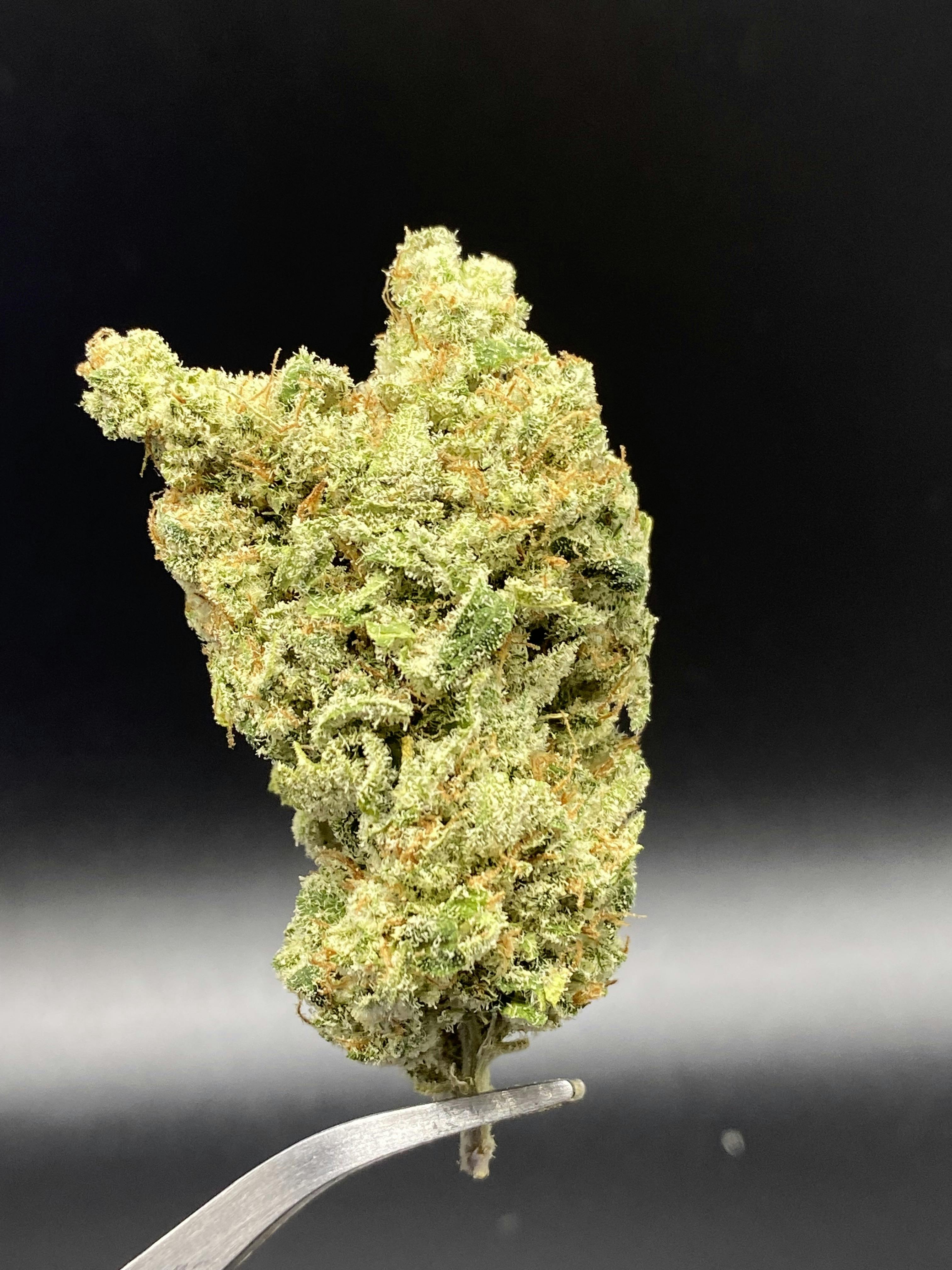 Frosted Fish Flakes (Big Bud) - 20.17% THC