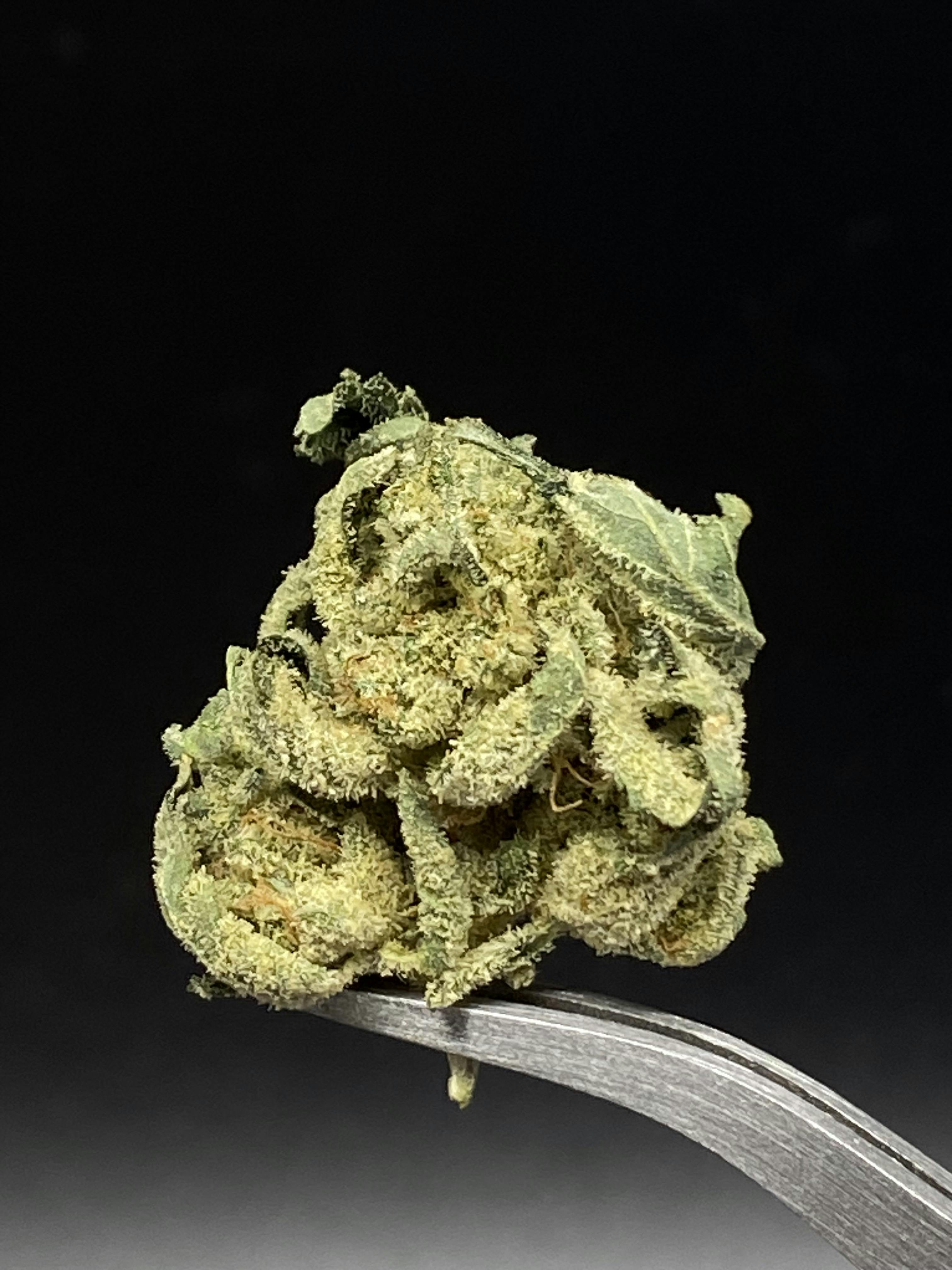 Yuck Mouth - 30.72% THC 2.27% Terps