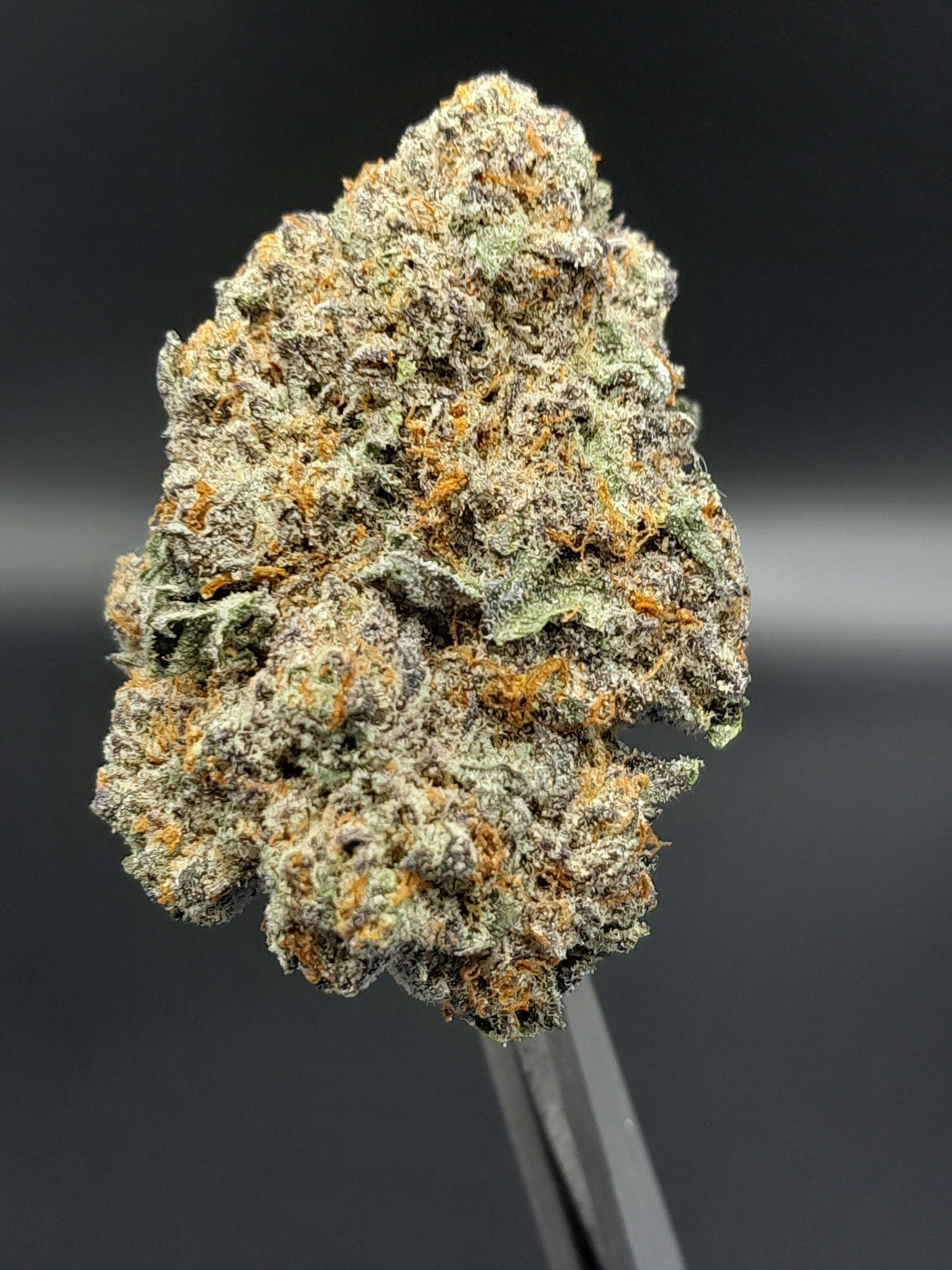 Ice Cream Cake (Big Bud) - 23.16% THC 1.43% Terps