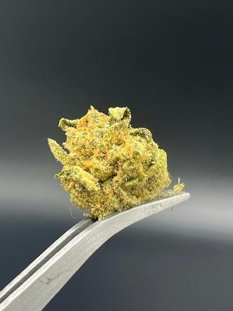 Cam's Candy Koffee - 26.49% THC 1.62% Terps