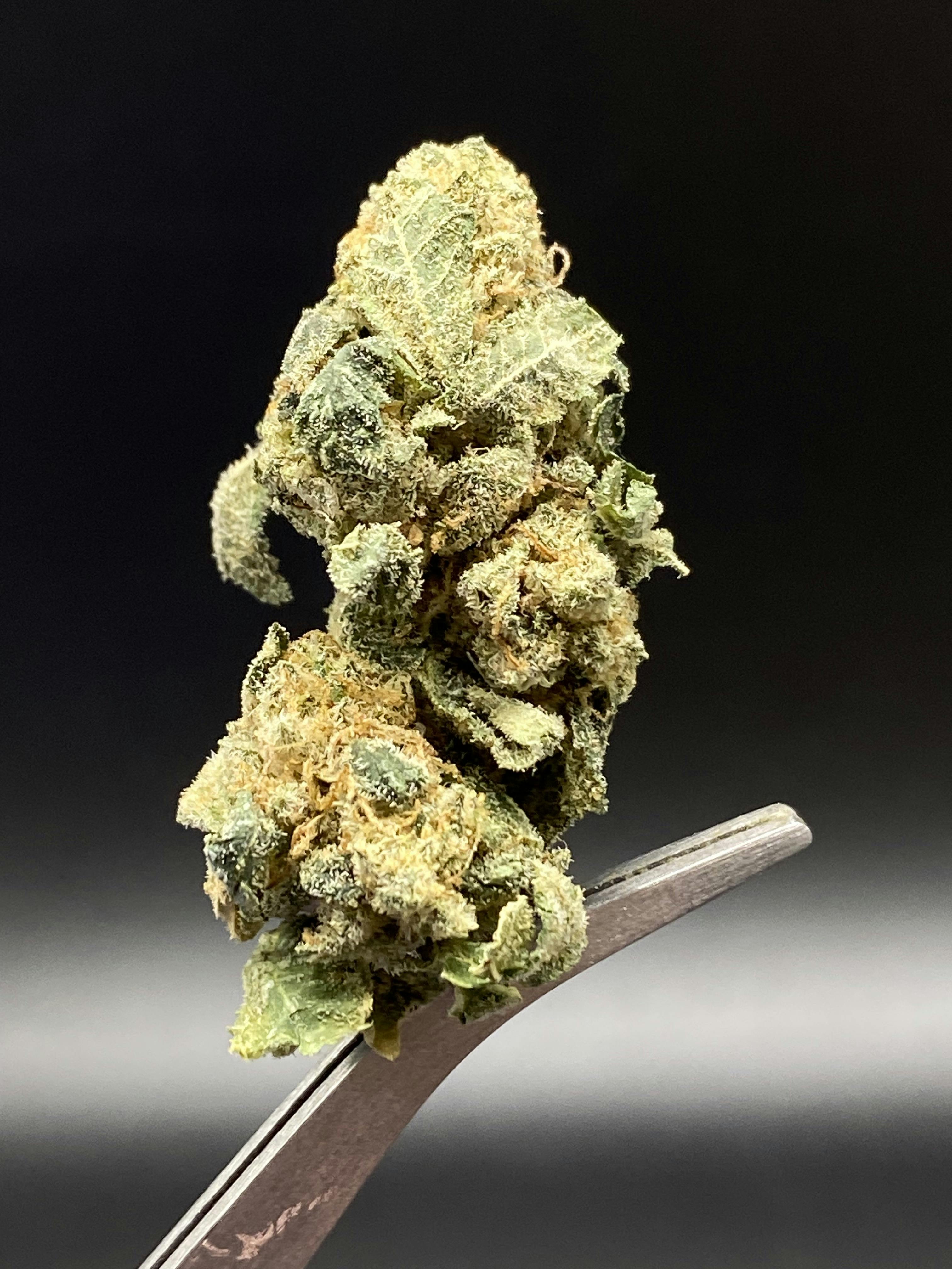 Cap Junky - 23.37% THC