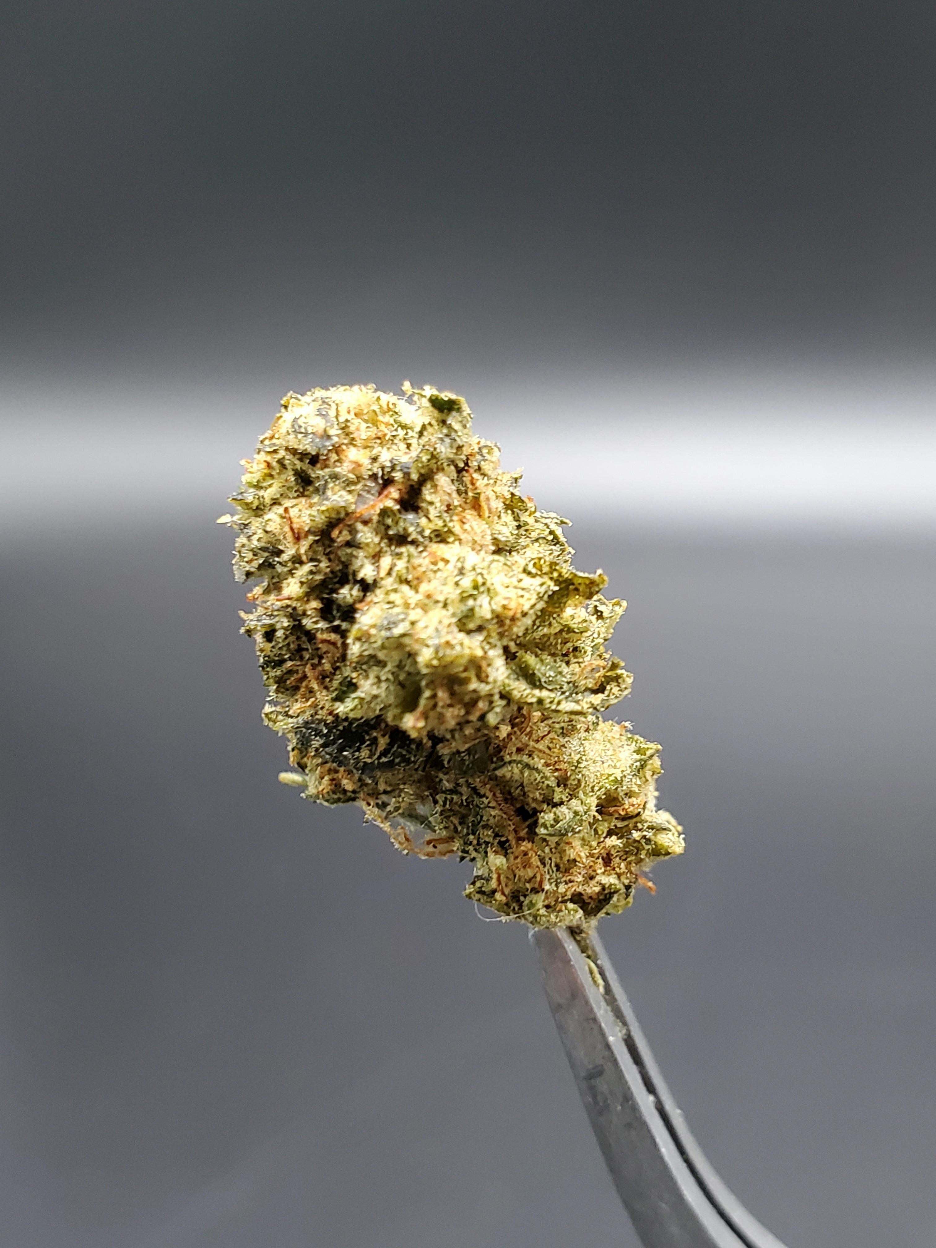 Sour Al - 25.61% THC 2.20% Terps