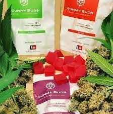 Gummy Buds: Peach Razz (Platinum Sour Diesel) (Hybrid) (5pk) Gummys