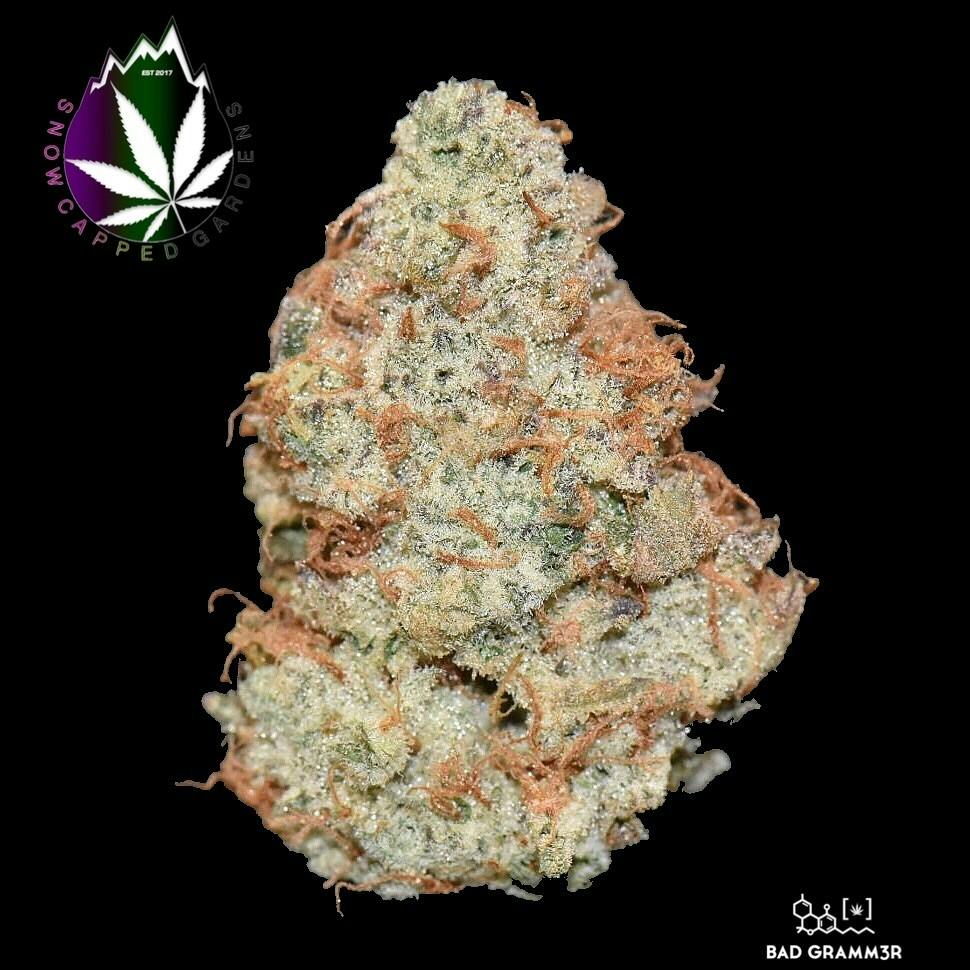Cookies N Chem By Snowcapped Gardens