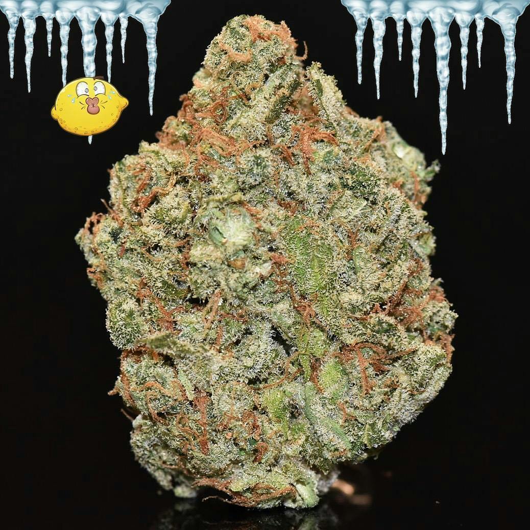 Lemon Ice Pucker | 1g