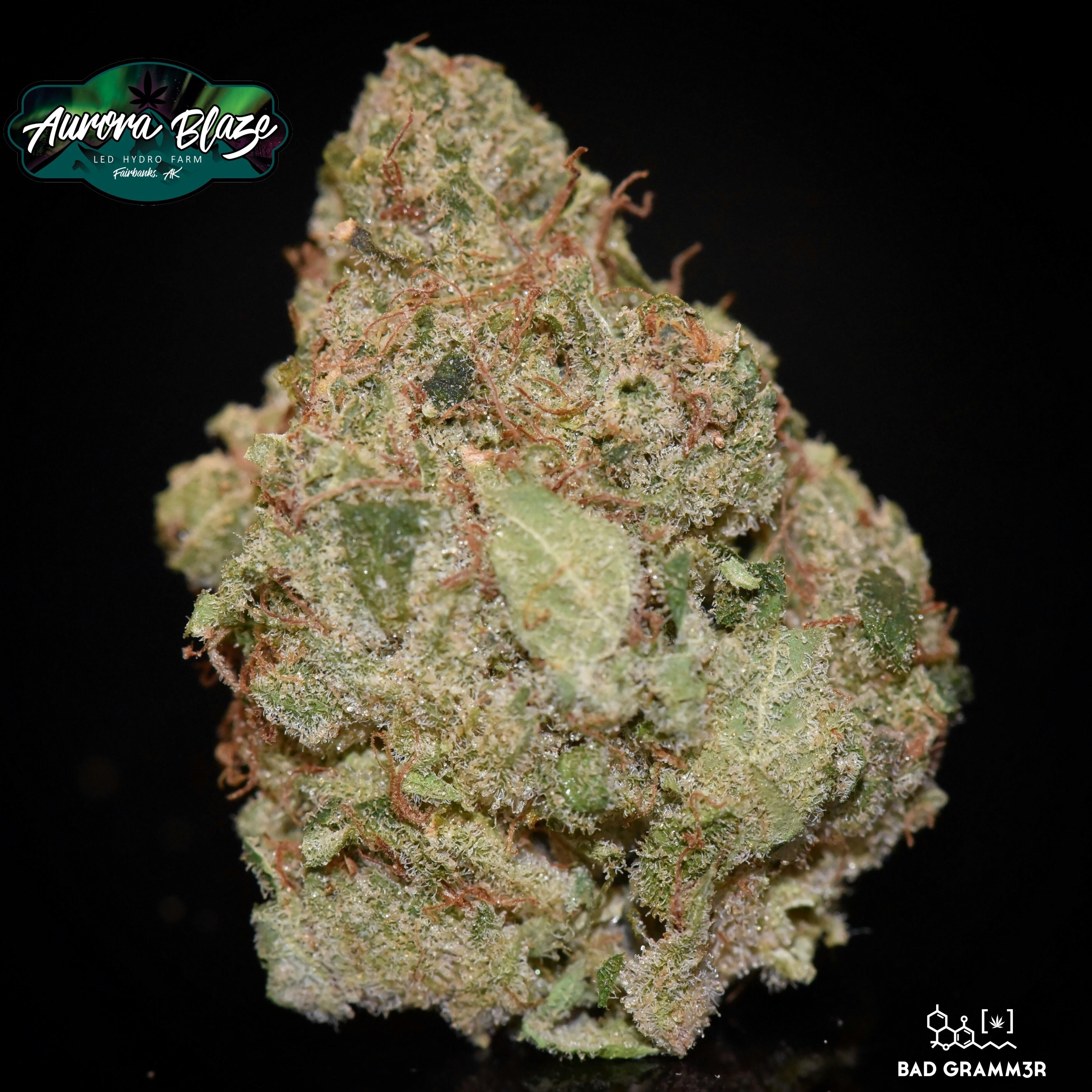 Purple Berry Kush By Aurora Blaze