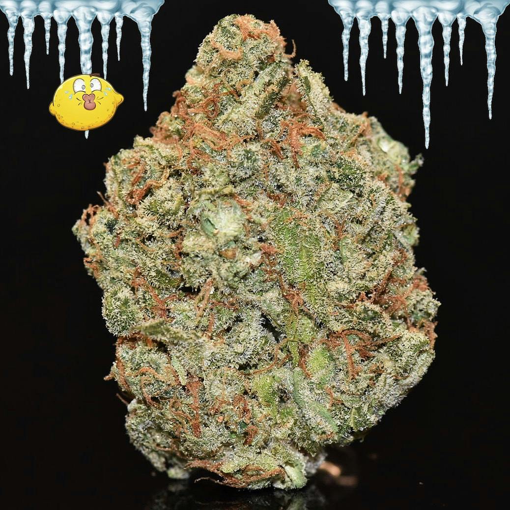 Lemon Ice Pucker By DDIII (Deli* Style Only)