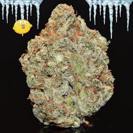 Lemon Ice Pucker By DDIII (Deli* Style Only)