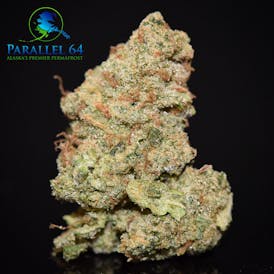 Buddha By Parallel 64 (Deli* Style Only)