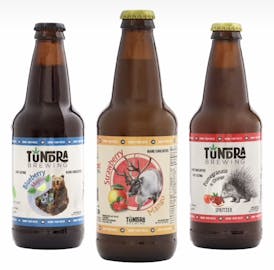 100mg Blueberry Mojito Soda By Tundra Brewing