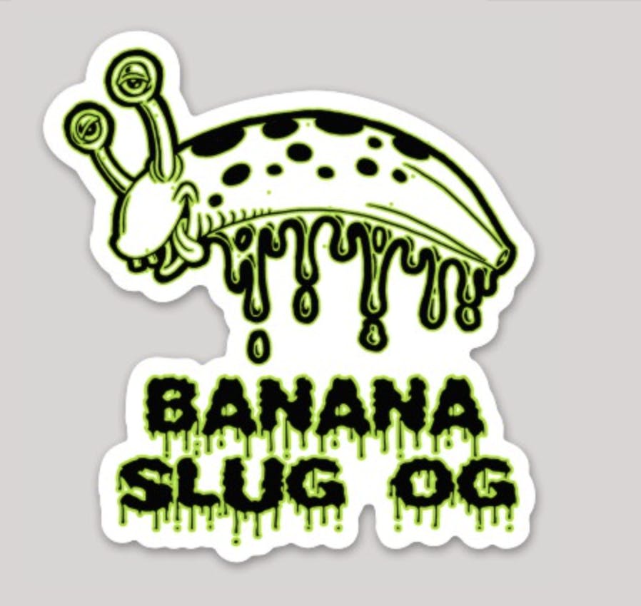 Banana Slug OG Sticker at The Fireweed Factory