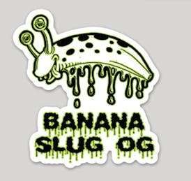 Banana Slug OG Sticker
