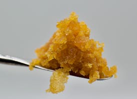 Gorilla Farts 1g Sugar By Babylon Co.