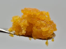 Squirrel Turdz 1g Sugar By Babylon Co.