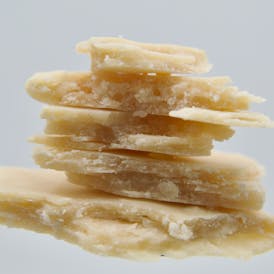 Cheese Turdz 1g Wax By Babylon Co.