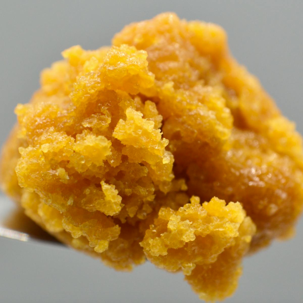Super Beaver 1g Sugar By Babylon