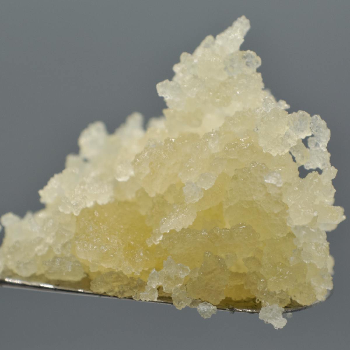 Jelly Dontuz
