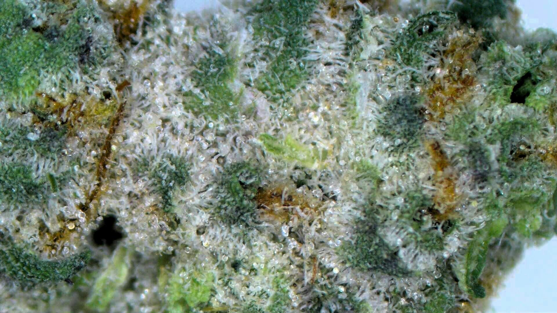 Platinum Kush Breath - Loose