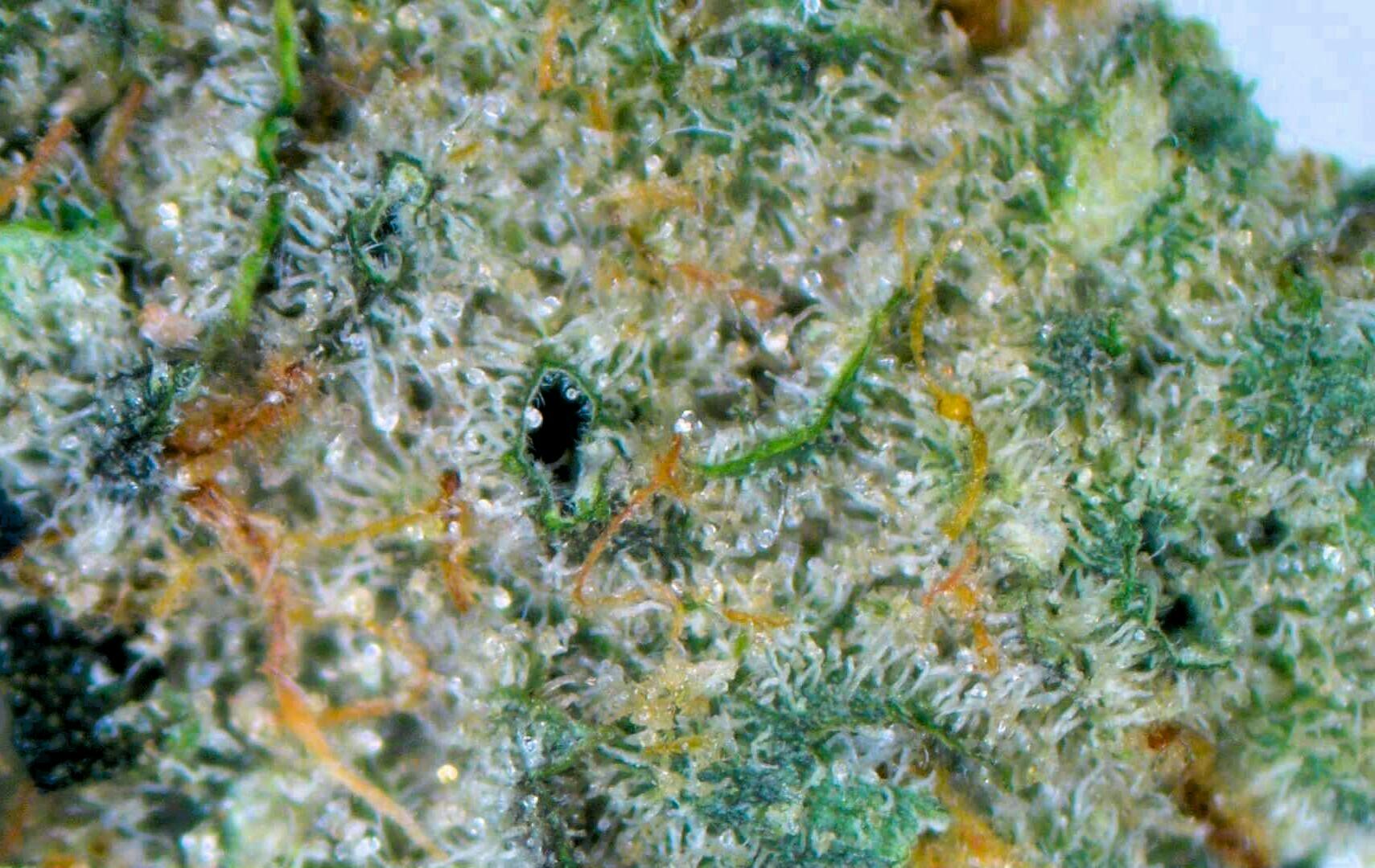Wedding Cake - Loose cannabis product