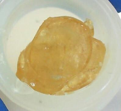 Blueberry Rainbow Beltz (1g) - BHO