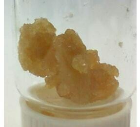 Platinum Kush Breath BHO at Cousins Cannabis - Missoula