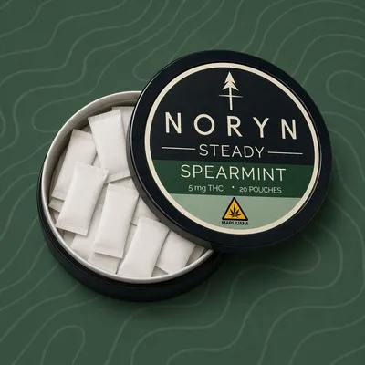 Noryn Pouches - Steady Hybrid (Spearmint)