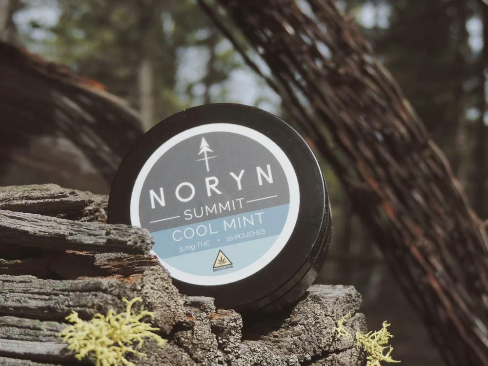 Noryn Pouches - Summit Sativa (Cool Mint)