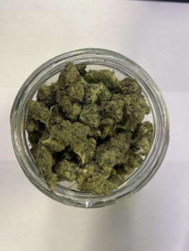 Dimension 369 (50/50 Hybrid)