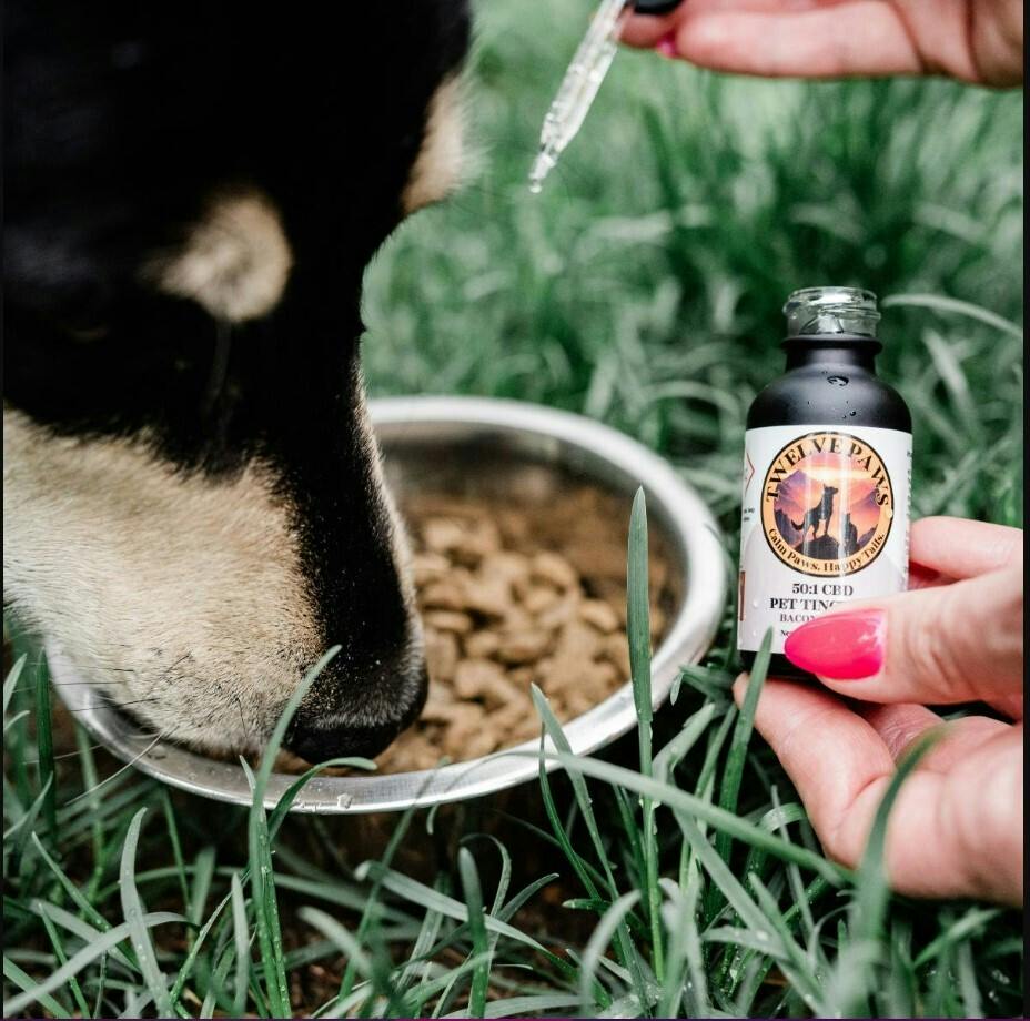 Bacon Flavor Tincture | Pet CBD for Cats and Dogs