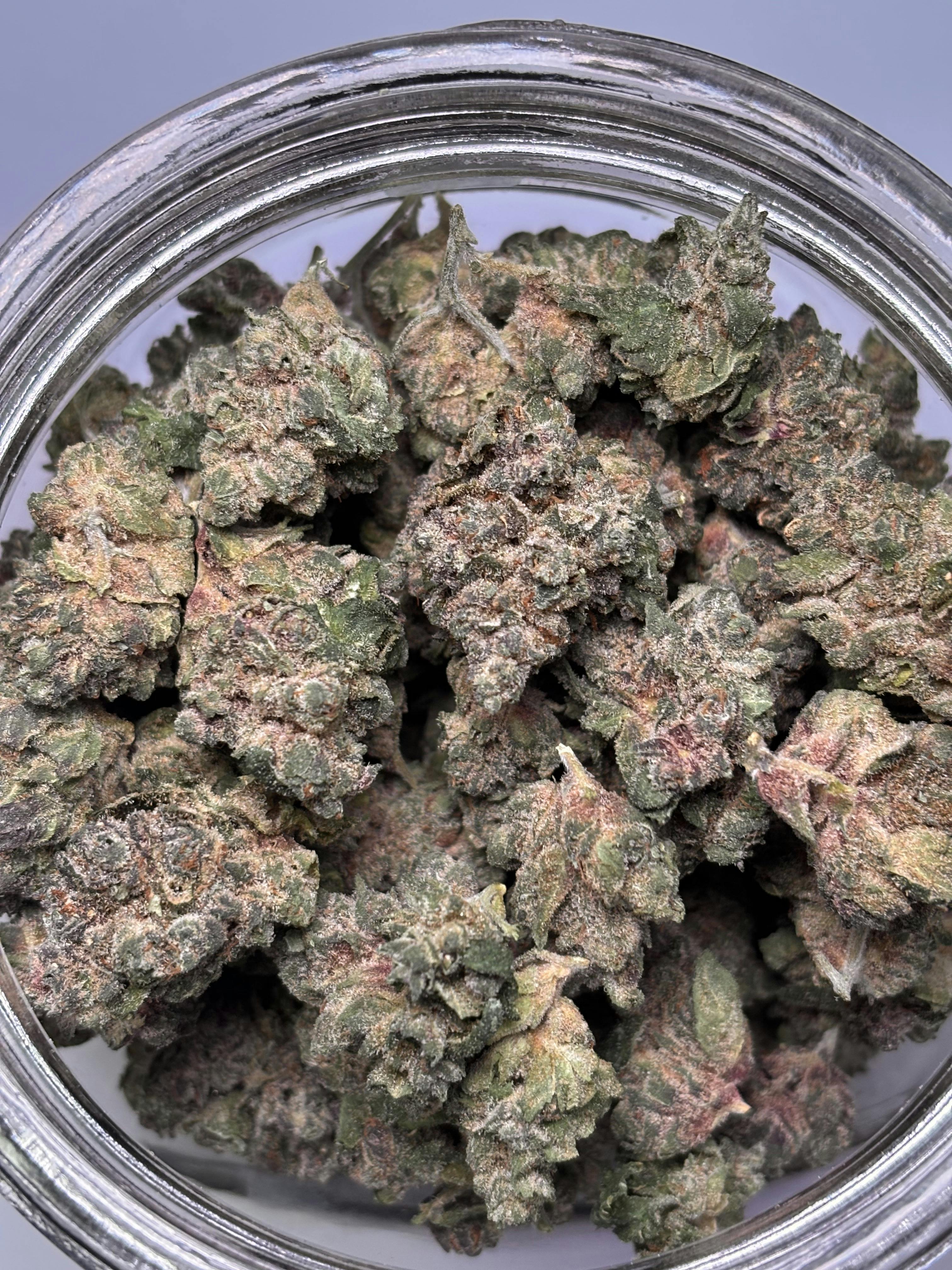 Yummy Yummy (H)