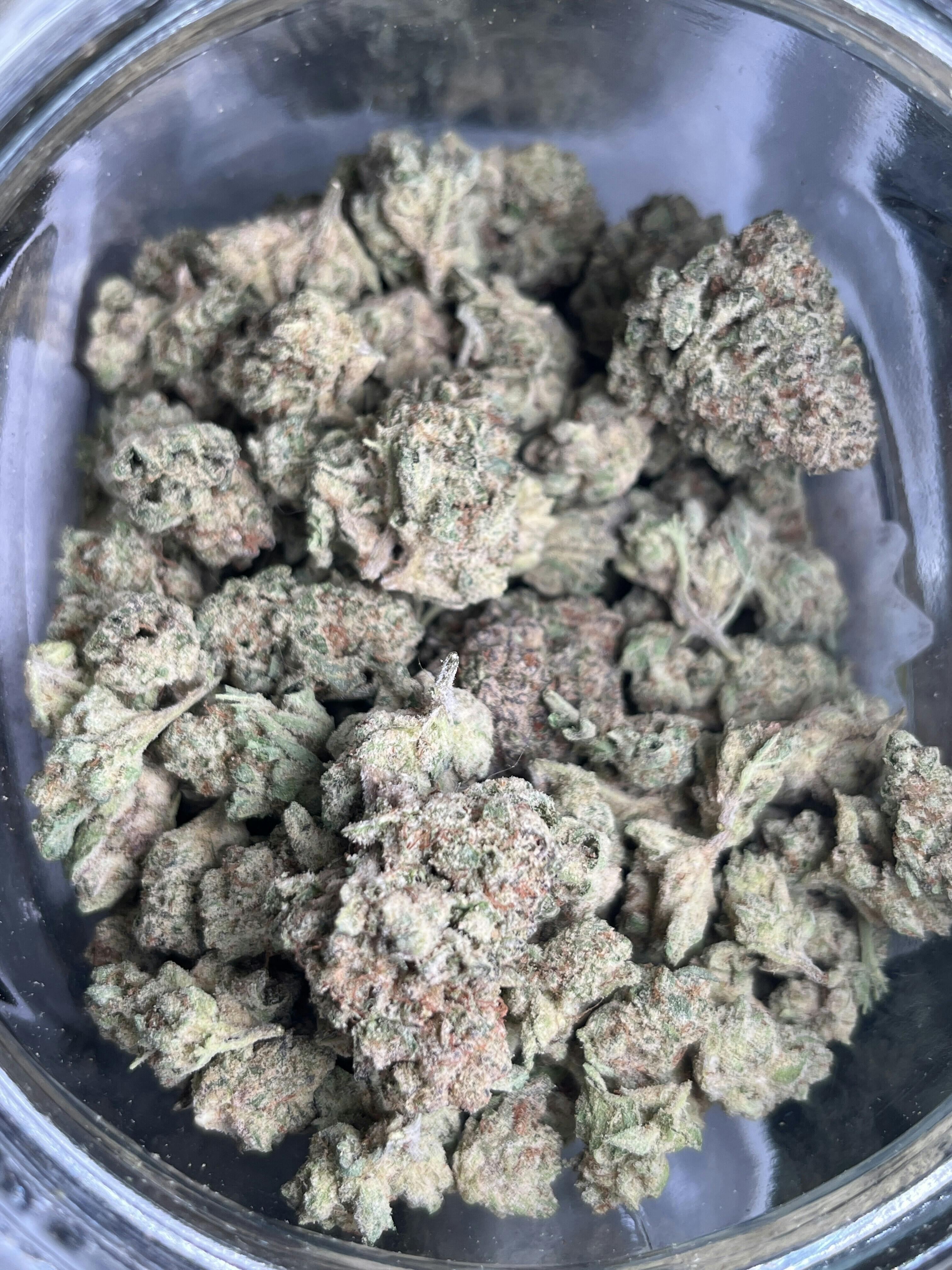 Georgia Pie (I/H)