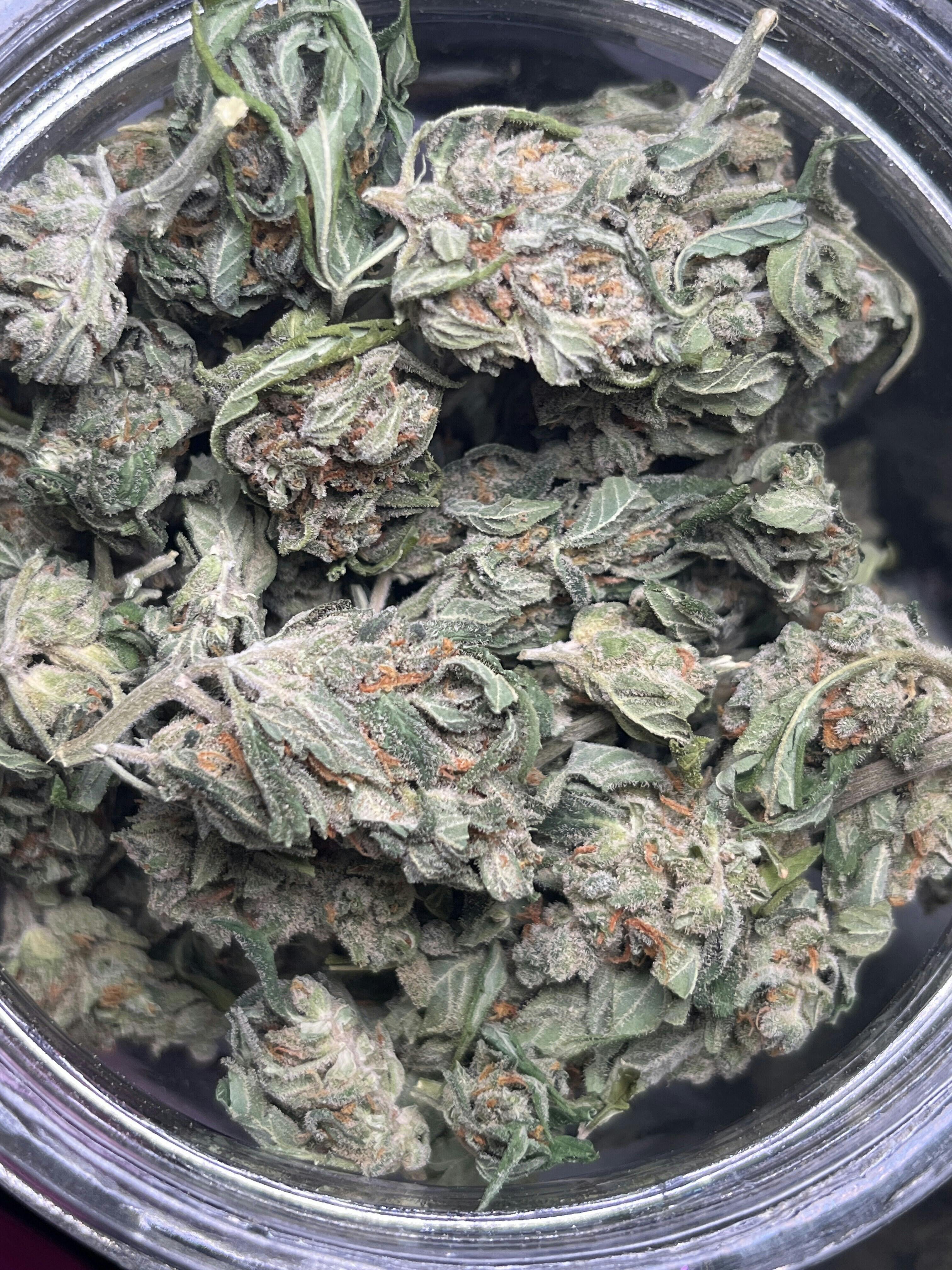 Super Silver Haze (S/H)
