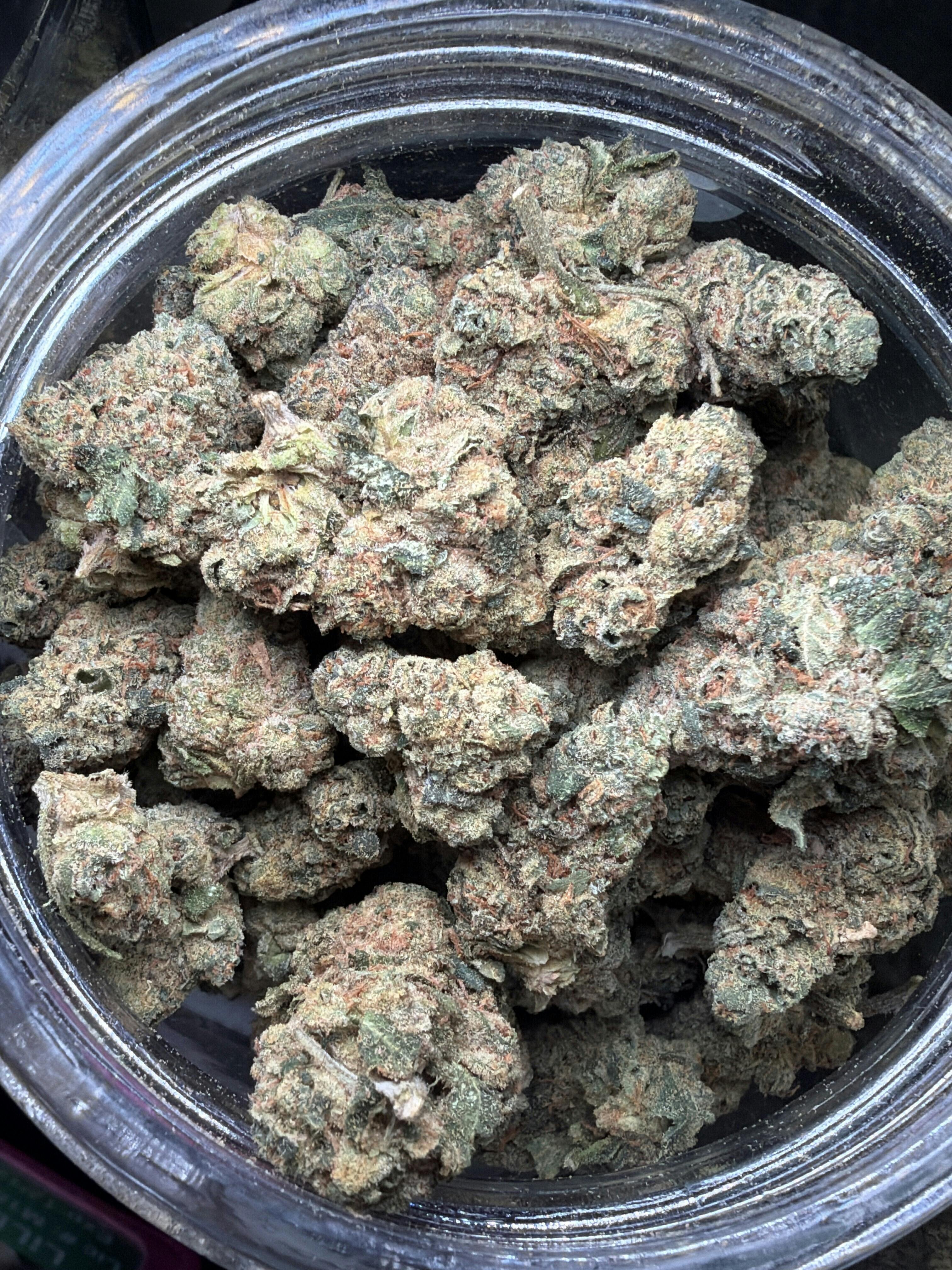 White Hot Guava (H)