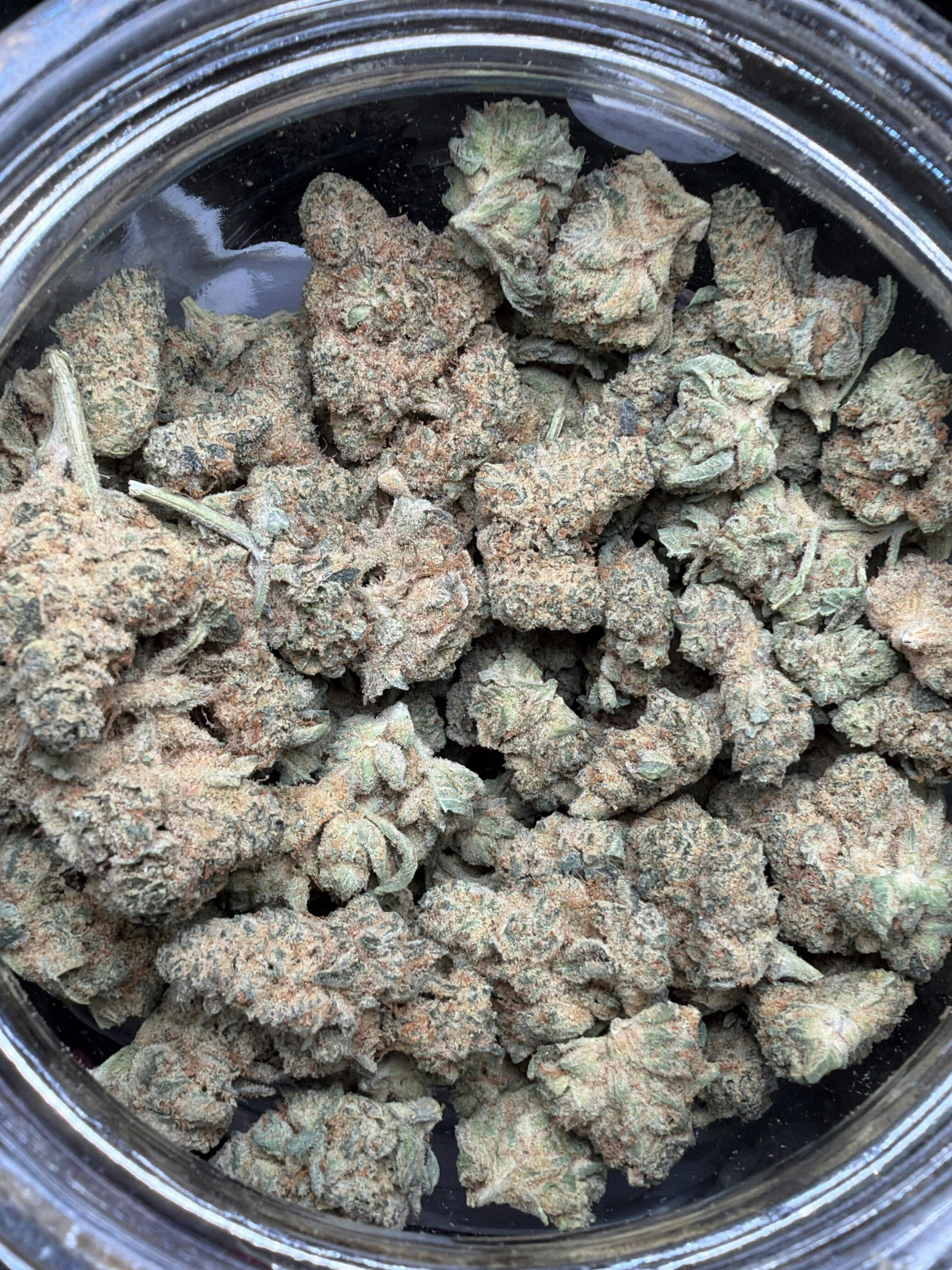 GG4 (I/H)