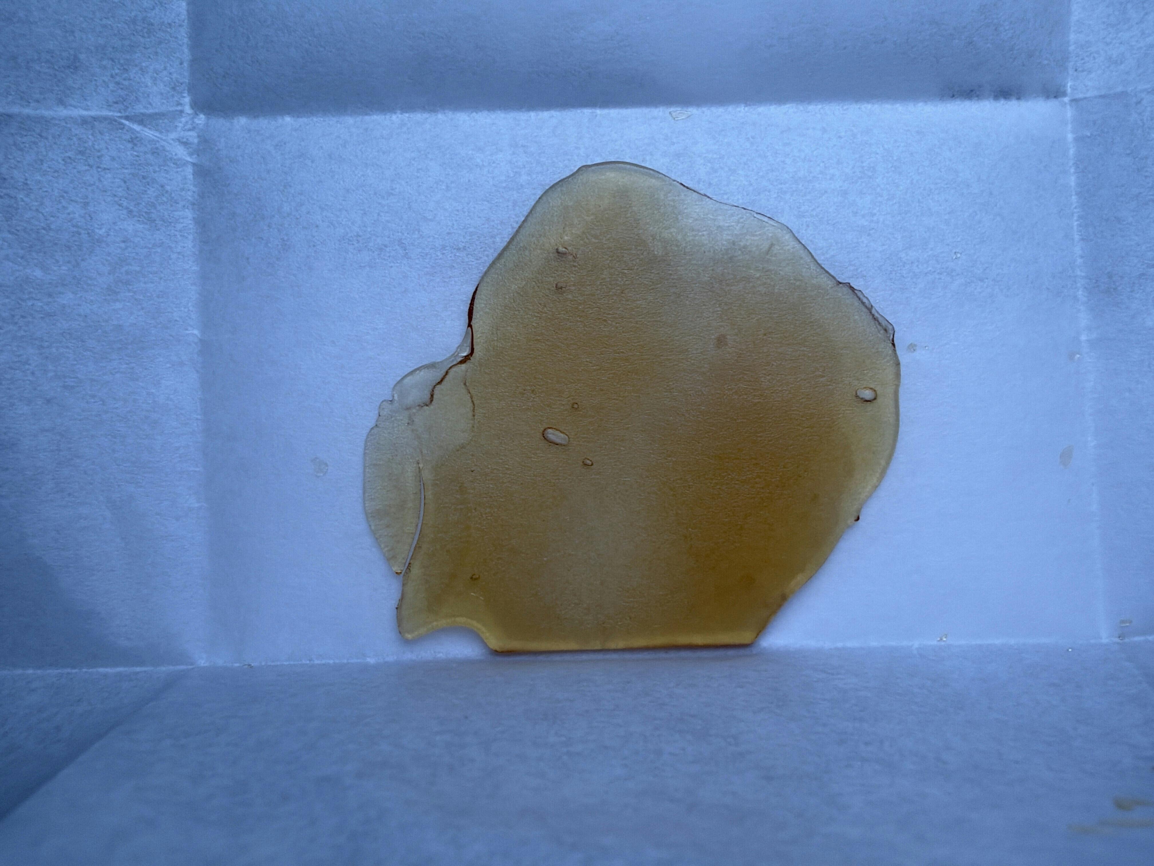 GMO (I)- Pure Pagosa Extracts Shatter