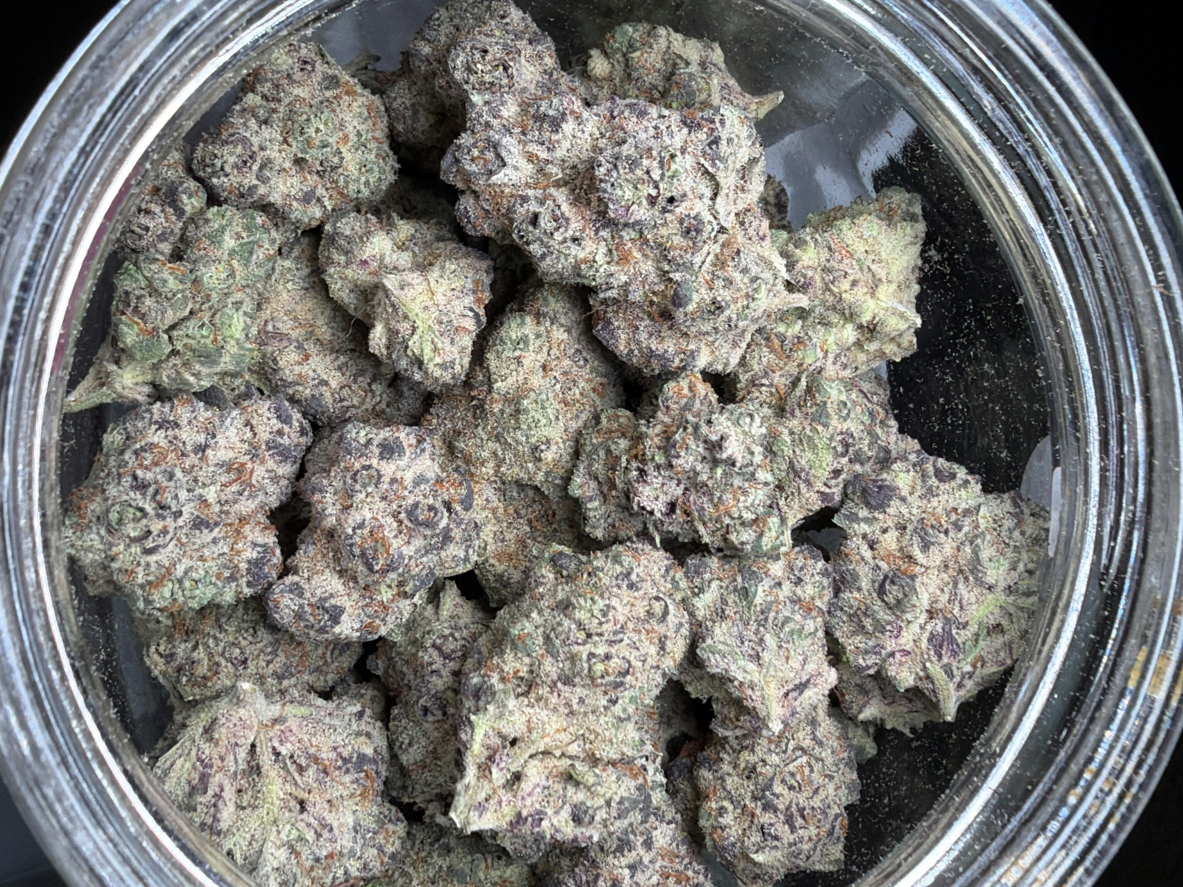 Trich Beast (H)