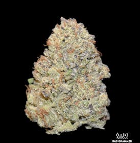 Boof Scotti By Pagan Enterprises