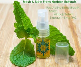100mg Hot Cinnamon Breath Spray By Herban Extracts