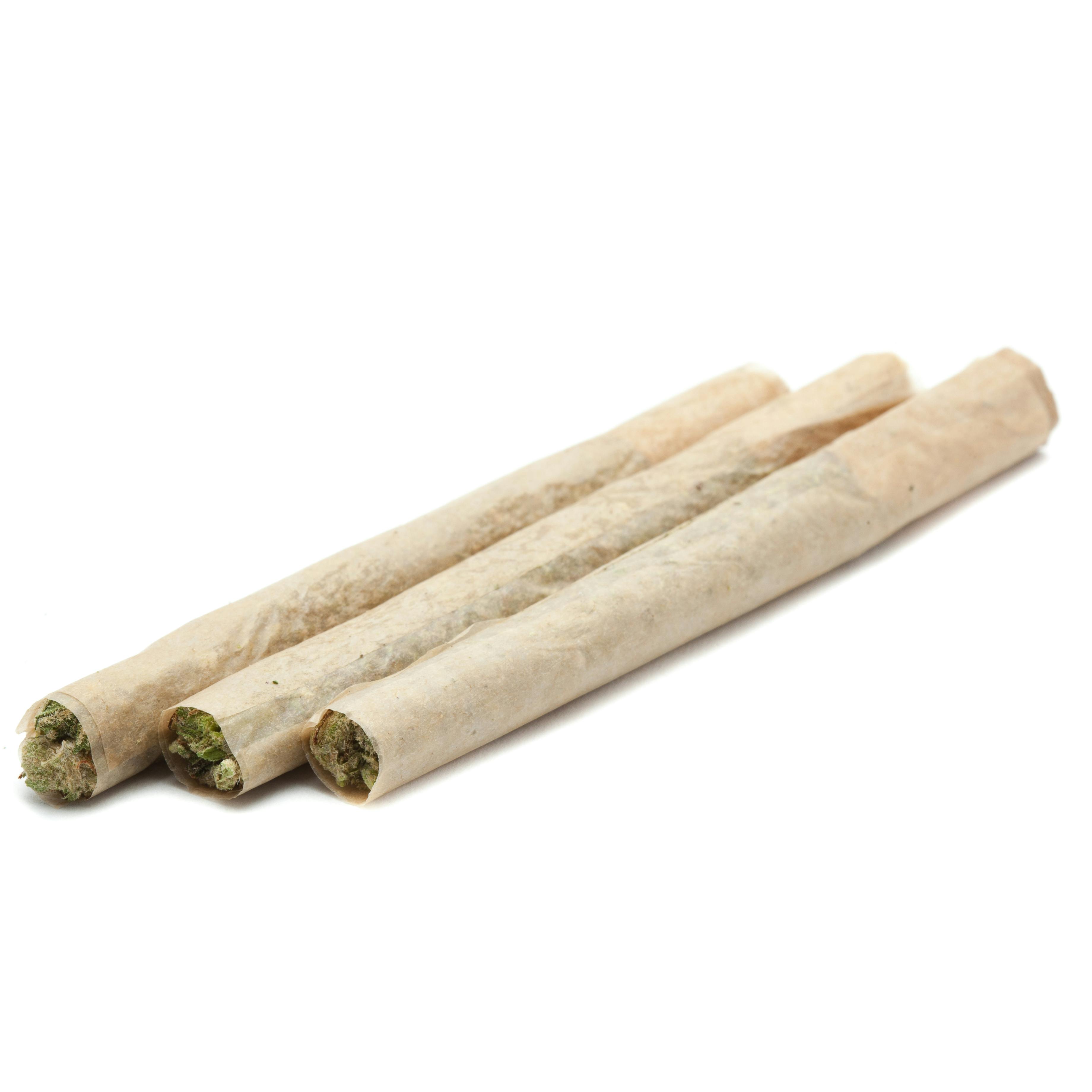 STICKS: Yeti Snacks