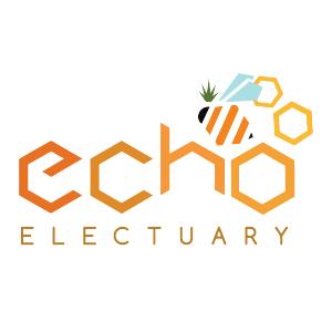 Echo Electuary: Cap Junky