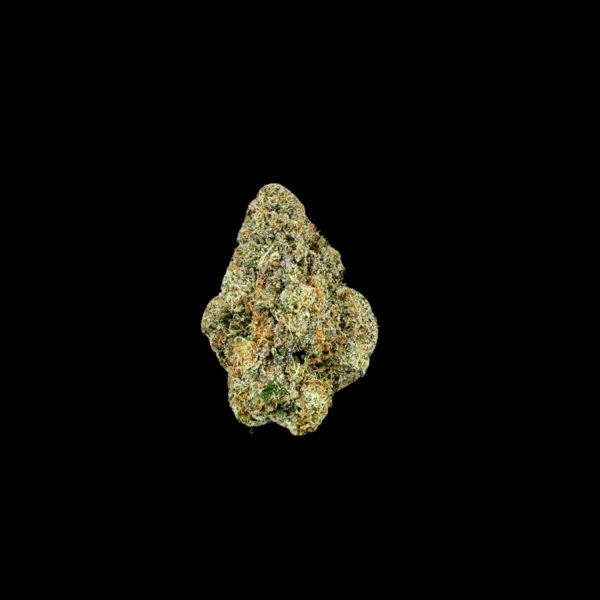 Zoltar (Flower)