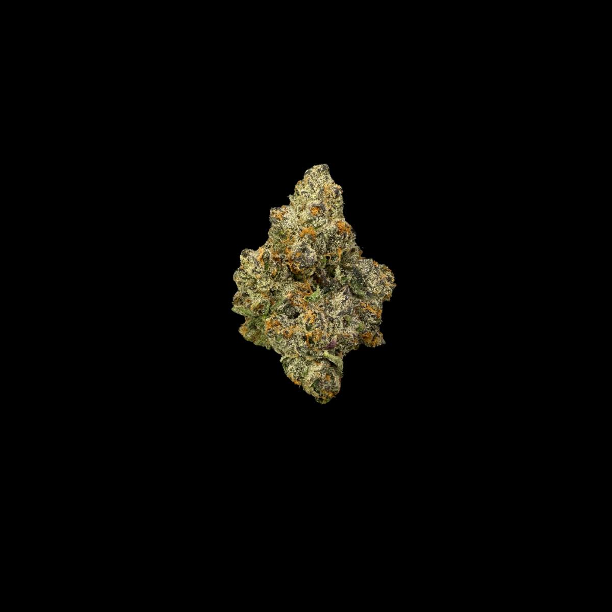 Blue Andes (Flower)